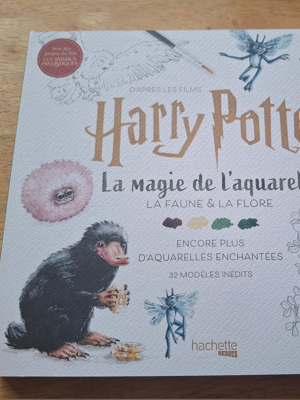 Harry Potter Livre Aquarelle